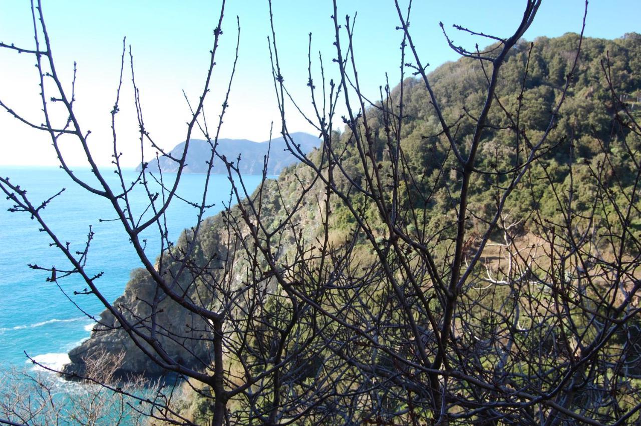 Vila Casa Duke Corniglia Exteriér fotografie